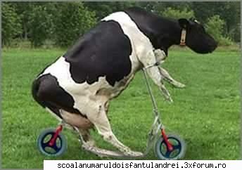 sport...